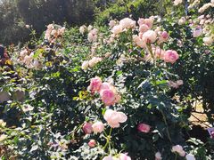 -人民公园(罗湖区)