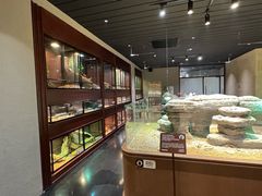 -帕帕拉兹宠物(亚洲旗舰店)