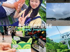 -圣淘沙天际线斜坡滑车