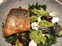 煎三文鱼配芒果牛油果色拉-Wagas沃歌斯(大学路店)