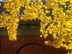 -承恩寺