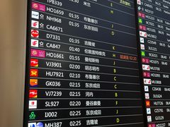 -上海浦东国际机场-T2航站楼