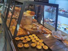 -幸福鸟动物奶油生日蛋糕(军校店)