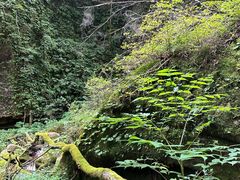 -五女峰国家森林公园