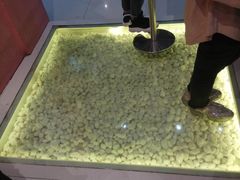 -狐狸和向日葵(北京路店)