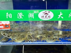 -阳澄湖大闸蟹·琼灵阁牌品牌连锁(吴中总店)