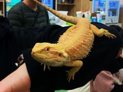 -藦茜花园宠物主题亲子互动体验馆(国顺东路店)