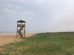 -日照海滨国家森林公园