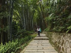 -黄埔油麻山森林公园