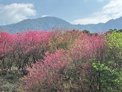 -福清灵石山国家森林公园
