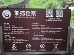 -都江堰中华大熊猫苑