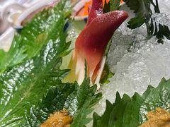 -初花·日本料理