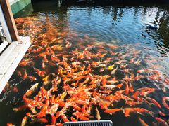 -长春市南湖公园