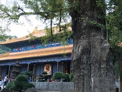 -普陀山风景名胜区-法雨禅寺
