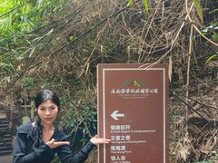 -海南霸王岭国家森林公园