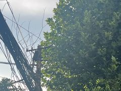 -香巴拉云南餐厅(华莱坞店)