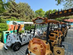 -北京野生动物园