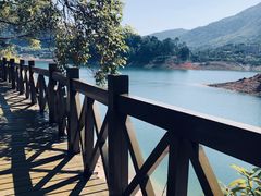 -广州市流溪河国家森林公园