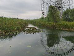 -太湖湖滨国家湿地公园-停车场