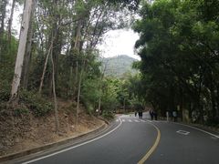 -大雁山风景区