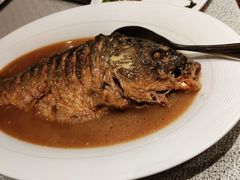 -阿庄新豫菜(航海东路店)