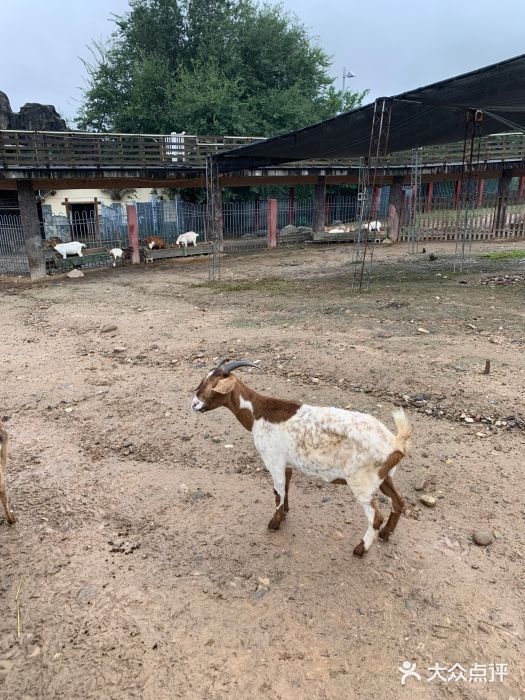 西安世博园图片