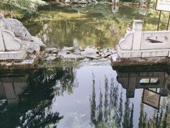 -趵突泉景区