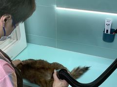 -猫宠乐园·专业洗护