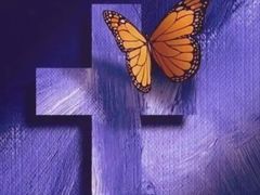 -泰康拜博口腔(凯迪大厦店)