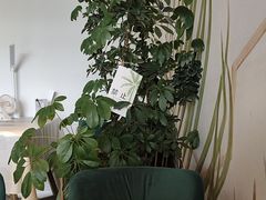 -董小姐咖妃·咖啡·简餐.意面(松江大学城店)