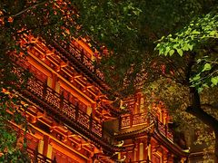 -大佛古寺