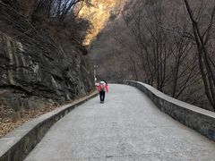 -北京上方山国家森林公园