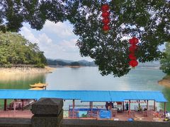 -广州市流溪河国家森林公园