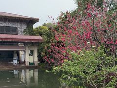 -中国茶叶博物馆(双峰馆区)
