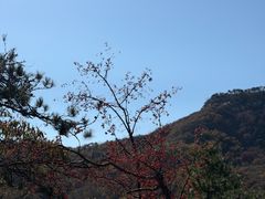 -沂蒙山旅游区云蒙景区(蒙山国家森林公园)