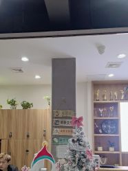 -心联形象设计·流星染