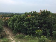 -梁鸿国家湿地公园