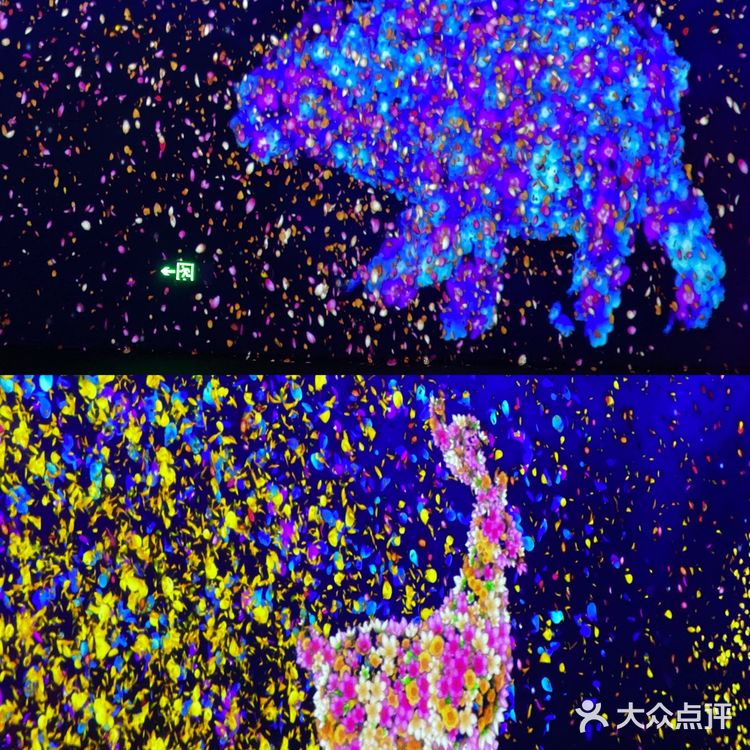 大连游玩｜和我一起探索星河的奥秘㊙️