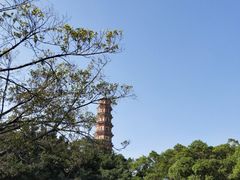 -广州莲花山旅游区