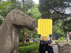 -灵谷景区