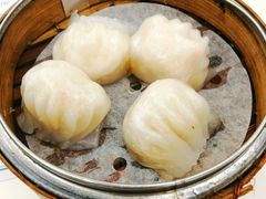 虾饺-点点心点心专门店(湾仔店)