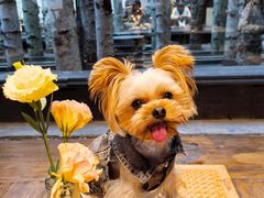 -Metal hands·铁手咖啡