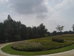 -同里国家湿地公园