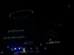 -南京奥林匹克体育中心-体育馆