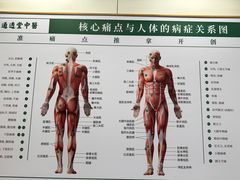 -通透堂中医·精准推拿(万科云城分院)