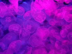 -乌鲁木齐海洋馆