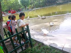 -西安市长乐公园