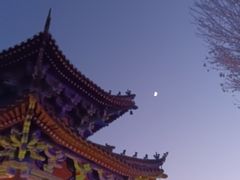 -掌上鲜(南顺城街店)