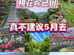 -桃花岭景区