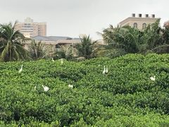 -霞山观海长廊